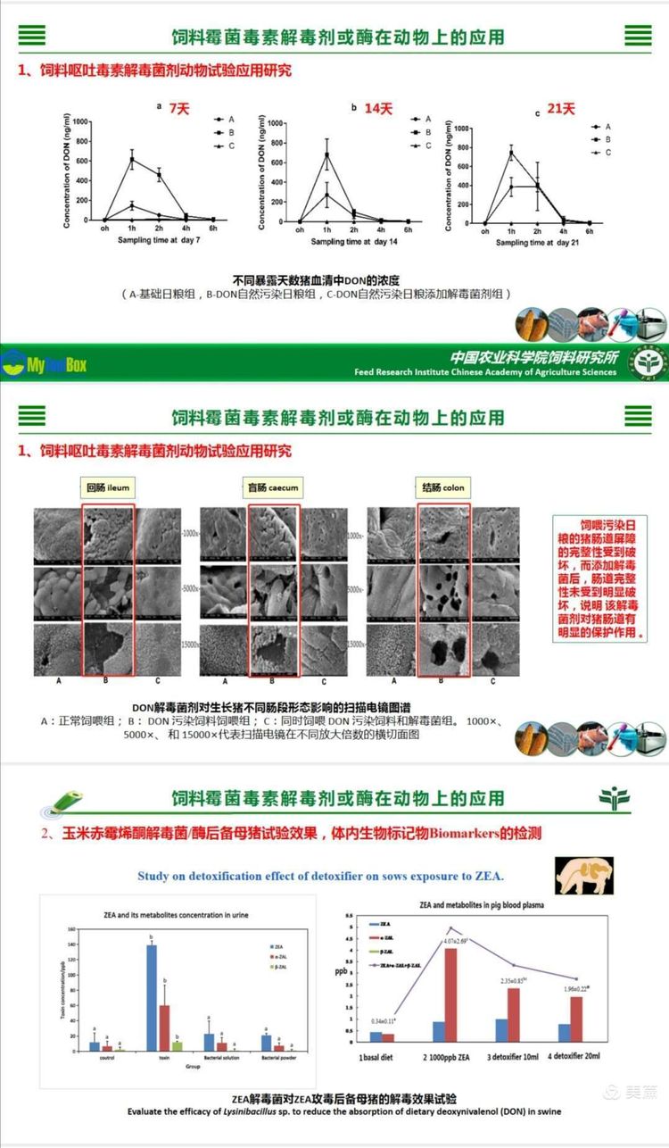 微信图片_20201217114522